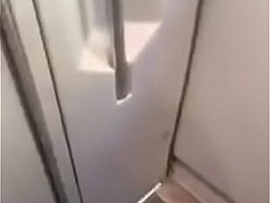 Reed Plants Anal Global 2